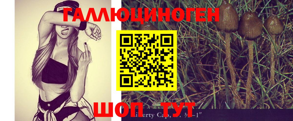 Галлюциногенные грибы Magic Shrooms Строитель